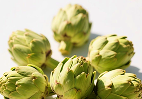 Artichoke Extract