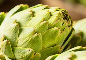 Artichoke Extract
